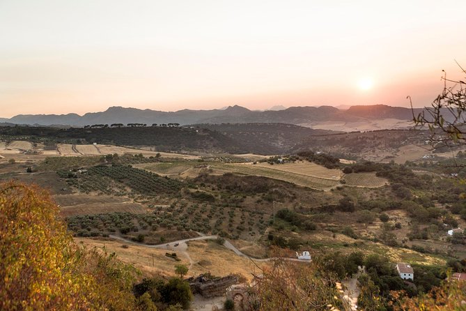 Ronda Village Guided Tour from Costa del Sol - Almocabar Gate and Santa Maria la Mayor: What You Will and Will Not Enter