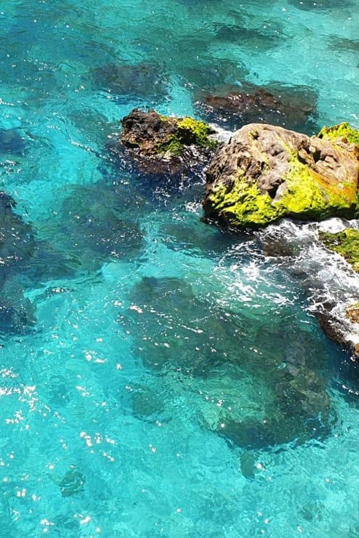 Ruta libre en paddel surf por la cascada de Nerja y Maro 😍 - Starting at Crystal Kayak Nerja, Burriana Beach 30, and Getting Oriented Fast