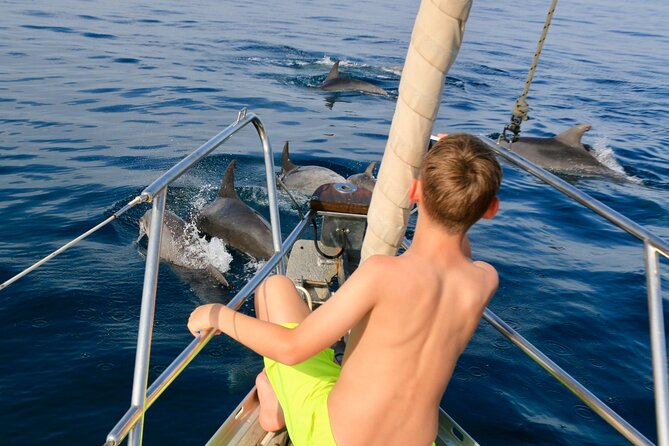 Sailing Boat-always private-always by sail-search for dolphins - Key things to know before you sail for dolphins