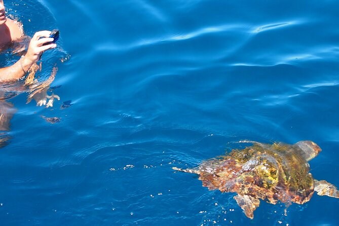 Sailing Boat-always private-always by sail-search for dolphins - What a real sailing day feels like on this boat