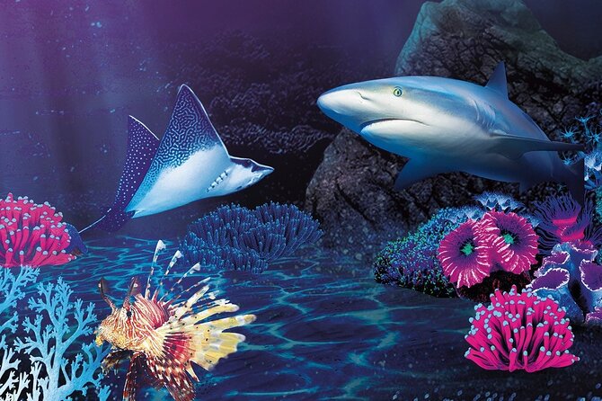 Sealife Benalmadena Entrance Ticket - On-site changes and what to do with the notice