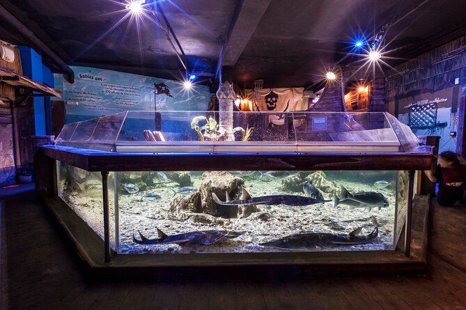 Sealife Benalmadena Entrance Ticket - Interactive Rockpool Experience: the part families talk about