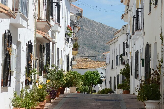 Self Guided Wine and Tapas Walking Tour - Price and value: what $98 really buys you