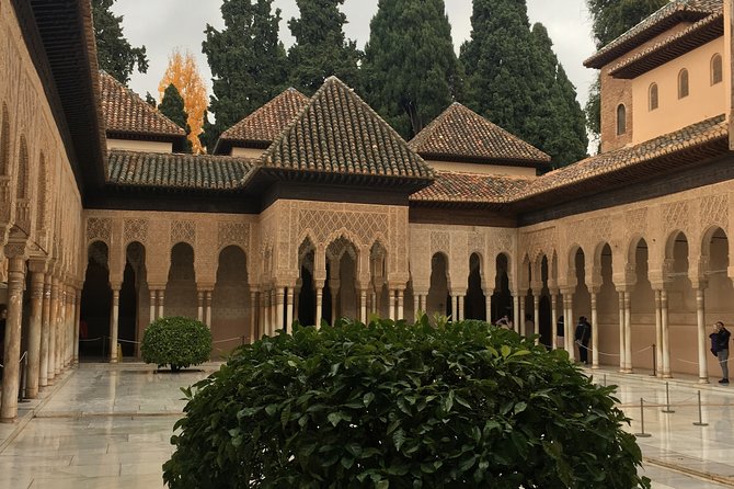 Semi Private Tour to the Alhambra from Nerja - Why the Arabic heritage stories actually make the sites click