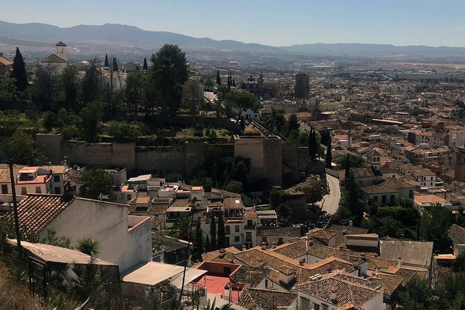 Semi Private Tour to the Alhambra from Nerja - Price and value: what you’re really paying for