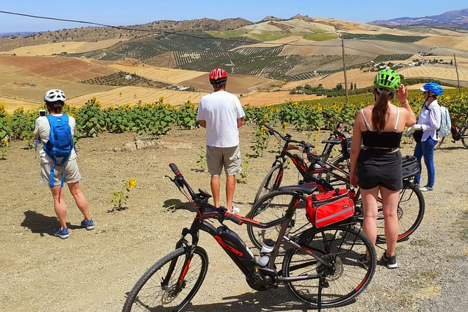 Sensational Setenil by e-bike (full day) - Electric E-Bikes and a 7-hour day that stays fun