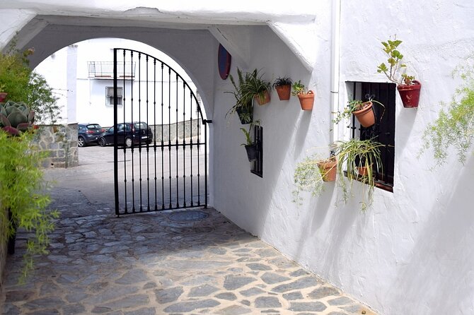 Sensational Setenil by e-bike (full day) - Weather matters, and the tour has a backup plan