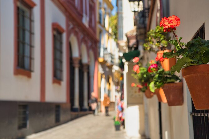 Seville Day Trip with Cathedral Entrance from Malaga - Price and value: what $74 buys you and what you might pay extra