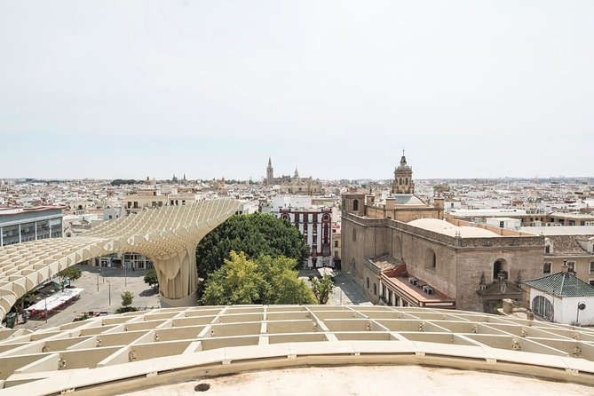 Seville Day Trip with Cathedral Entrance from Malaga - Jardines de Murillo and the Santa Cruz walk: where Seville’s lanes do the talking