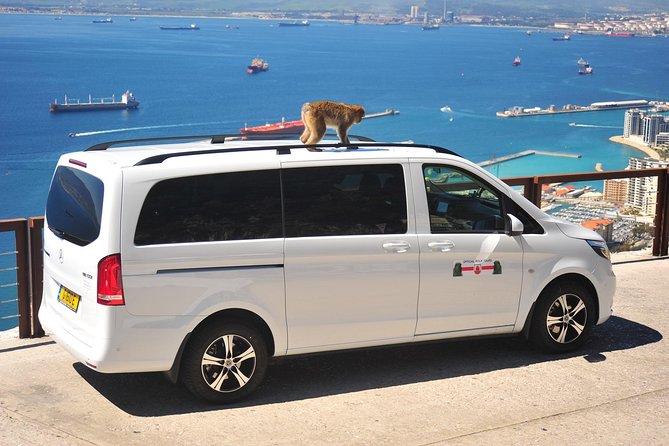 SHORE EXCURSION 3.30hrs Half Day Tour - Should you book this half-day Gibraltar shore tour?