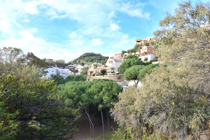 Spanish Civil War Private Walking Tour in Malaga - Price and value: what $120.48 buys you in real terms