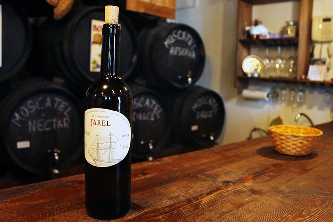 Sun and Wine Route - Small group, wine tasting and tapas included - Key things to know before you go