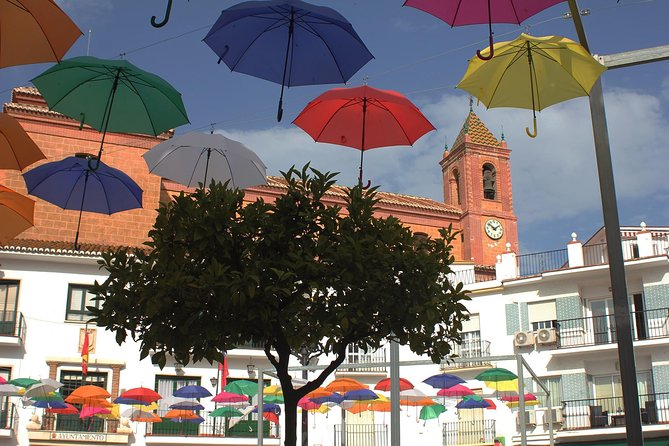 Sun and Wine Route - Small group, wine tasting and tapas included - Small-group size and the guide who also drives