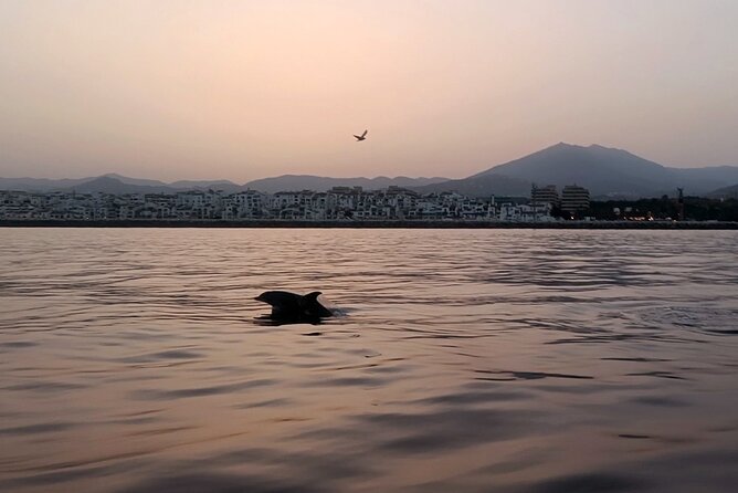 Sunset on Private Sailing boat Puerto Banus Marbella (10 pax) - The 2-Hour Timeline: Golden Mile Out, Sunset In