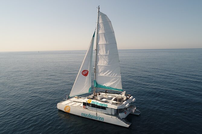 Sunset or night catamaran tour from Malaga - Onboard vibe, music, and the bar setup