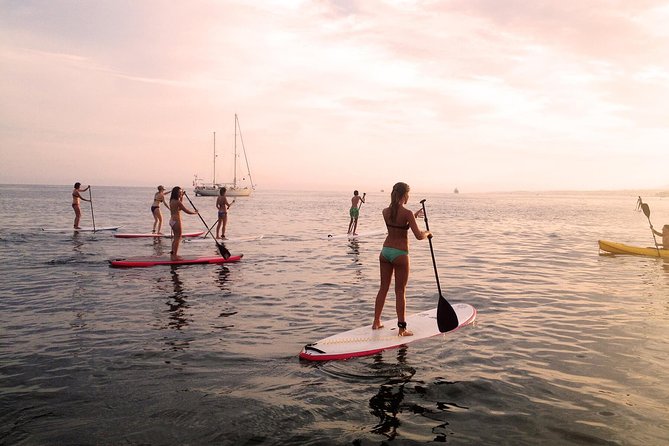 Sunset SUP Tour in Marbella - Where the tour starts at NaluSurReal Club Marítimo de Marbella