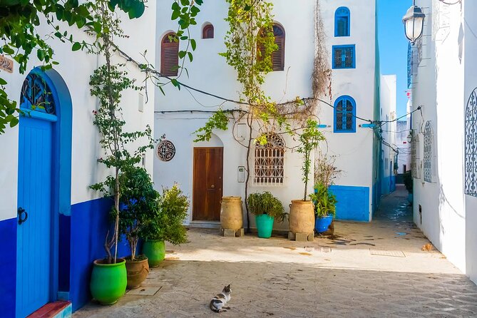 Tangier & Asilah Private Tour with from Malaga or Marbella - Asilah Medina: small lanes on a tiny islet near the Atlantic