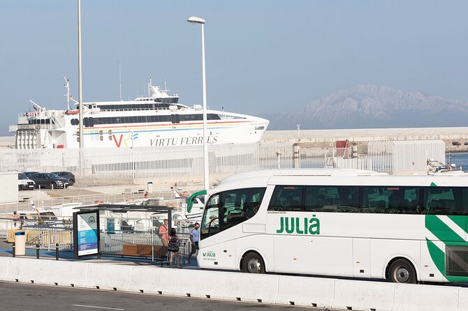Tangier, Morocco Day Trip from Costa del Sol - Optional Extras: Camel Ride and Snake Charmer Encounters