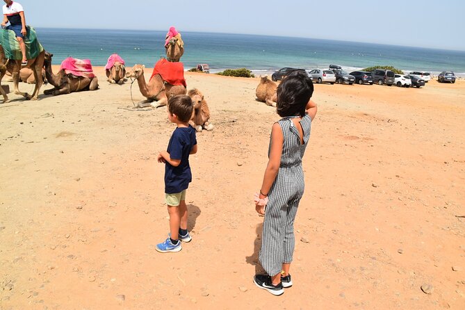 Tangier Private Tour from Malaga or Marbella w/ guide and driver - Camel ride included, and why it works better as a private moment