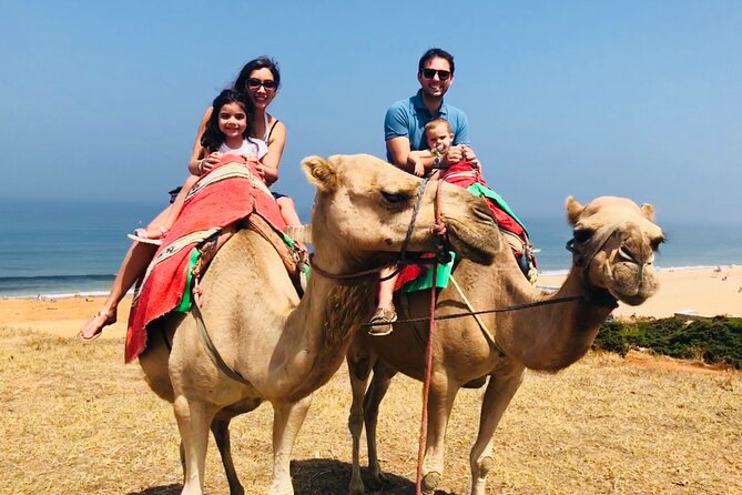 Tangier Private Tour from Malaga or Marbella w/ guide and driver - Medina of Tangier and the Casbah route you can actually follow