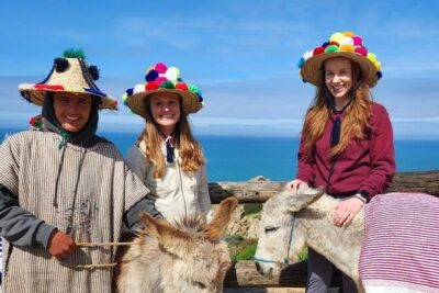 Tangier Private Tour from Marbella Including Camel Ride & Lunch