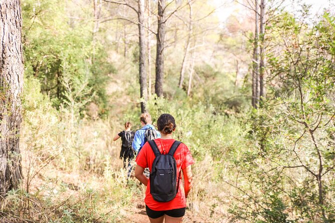 The Monks Trail: Mountain Hiking Adventure In Marbella - Why the Monks Trail Feels Different From a Typical Marbella Walk