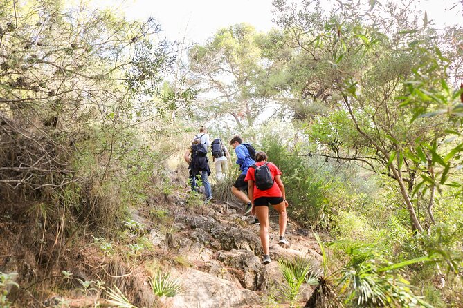 The Monks Trail: Mountain Hiking Adventure In Marbella - Should You Book the Monks Trail in Marbella?