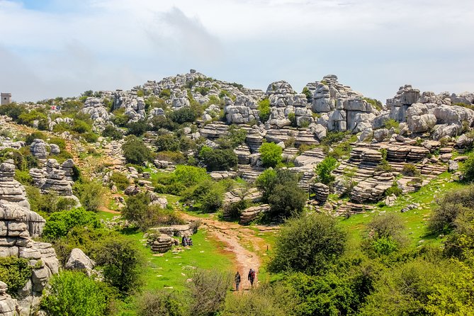 Torcal de Antequera Hiking Tour from Málaga - Price and Value: What $66.38 Buys You (and Why the Group Size Matters)
