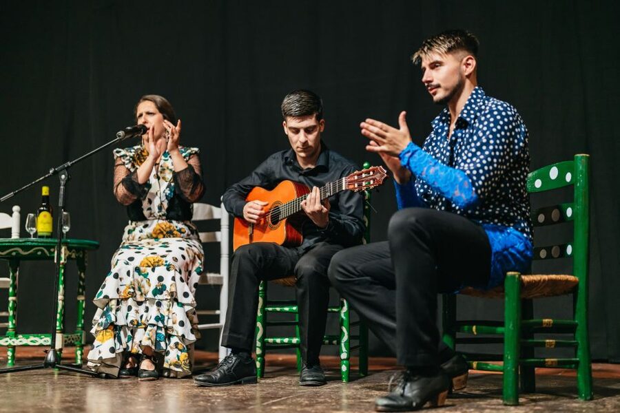 Torremolinos: Flamenco Show with Dinner and Drinks - Who This Fits Best (And Who Should Consider Another Plan)