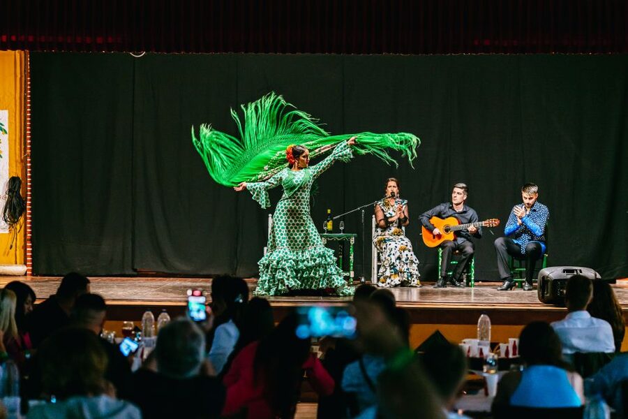 Torremolinos: Flamenco Show with Dinner and Drinks - Drinks and Refills: What Is Included and When It Ends
