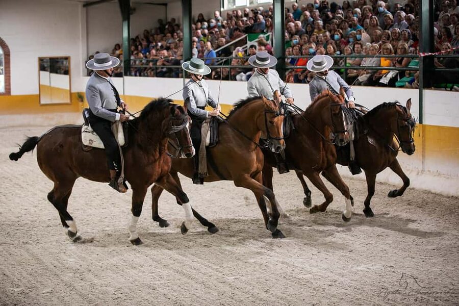 Torremolinos: Spanish horse show and flamenco with dinner option - Key highlights you should care about