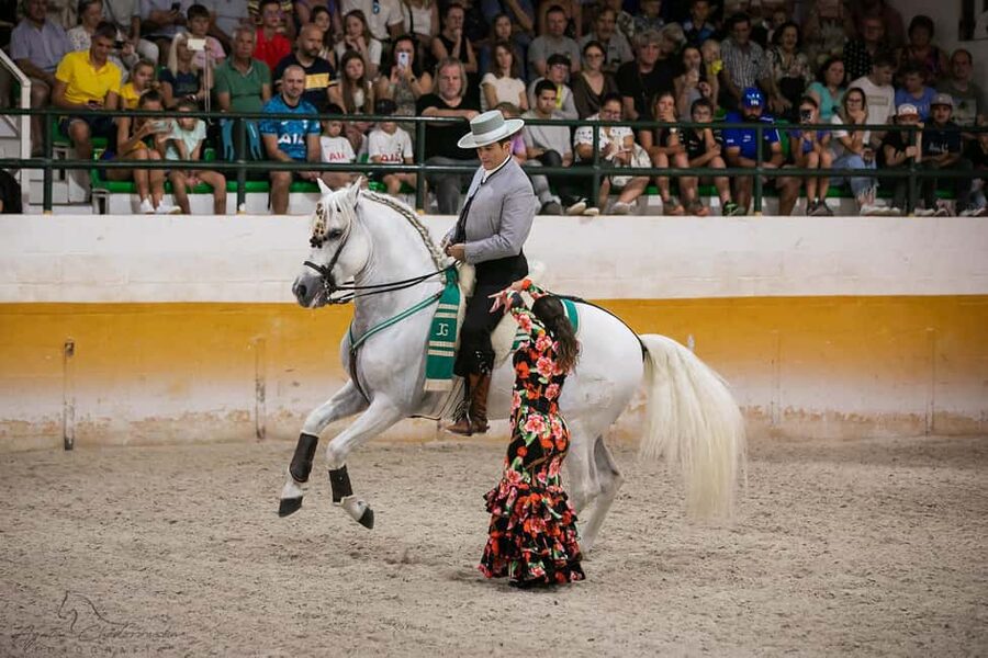 Torremolinos: Spanish horse show and flamenco with dinner option - The guided 30-minute visit at 5:00 p.m., and why preferred seating is worth it