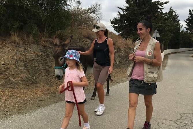 Tour the Sanctuary and Walk with the Donkeys and Share their Love - How to plan your morning, transport, and what to wear