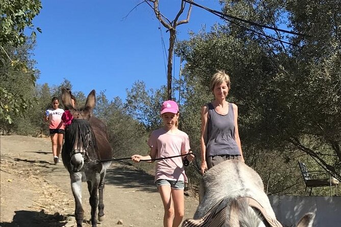 Tour the Sanctuary and Walk with the Donkeys and Share their Love - Arrive at Diseminado la Rosa, 79 and meet your guide team