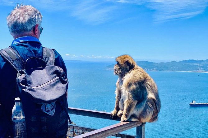 Tours of Gibraltar - STANDARD TOUR - A fast, smart circuit of Gibraltar’s best views