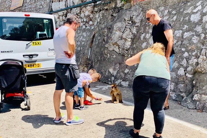 Tours of Gibraltar - STANDARD TOUR - Stop 3: Apes Den on the crest, Atlantic on one side and the Mediterranean on the other