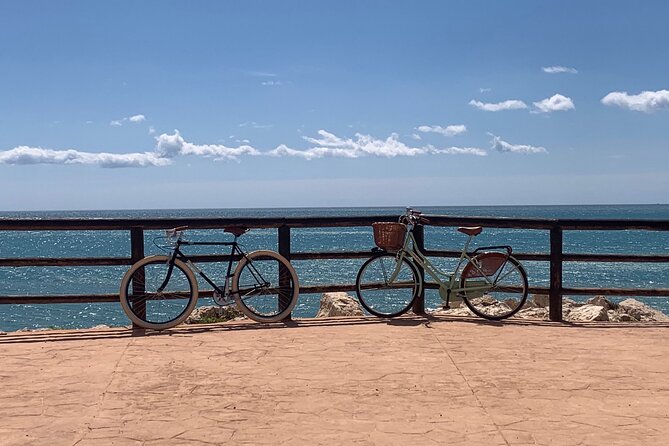 Vintage Style Bike Rental in Malaga - What to bring (since food and chairs are not included)