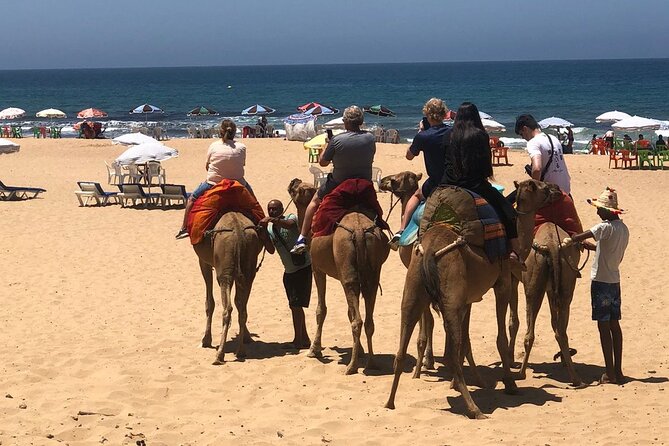 Vip Full Day Private Tangier Tour From Malaga All Inclusive - Caves of Hercules: The Sea and Land Openings You Came For
