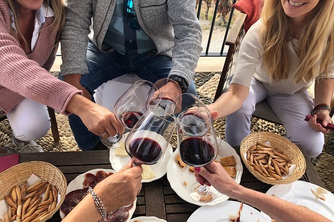 VIP Ronda Wine Tour and Tasting and Gourmet Lunch Experience with Winemaker - Key highlights to look for