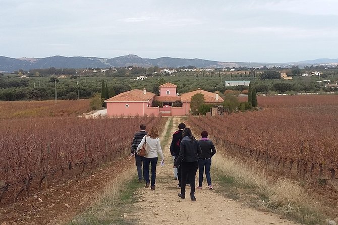 VIP Ronda Wine Tour and Tasting and Gourmet Lunch Experience with Winemaker - Price and value at about $431.37 per person