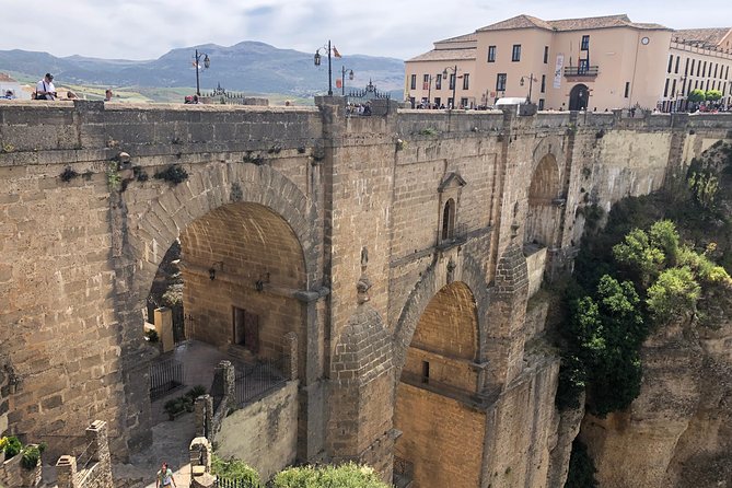 VIP Ronda Wine Tour and Tasting and Gourmet Lunch Experience with Winemaker - Should you book the VIP Ronda wine and gourmet lunch?