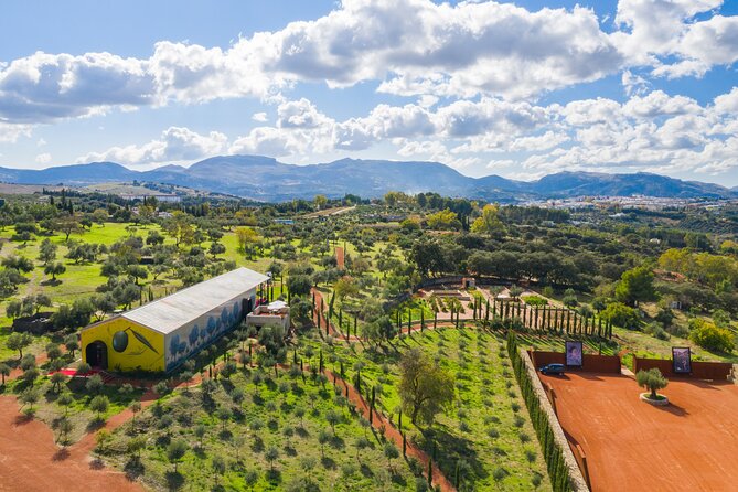 Visit Oil Mill Museum and Olive Oil Tasting in Ronda - Key highlights worth your time