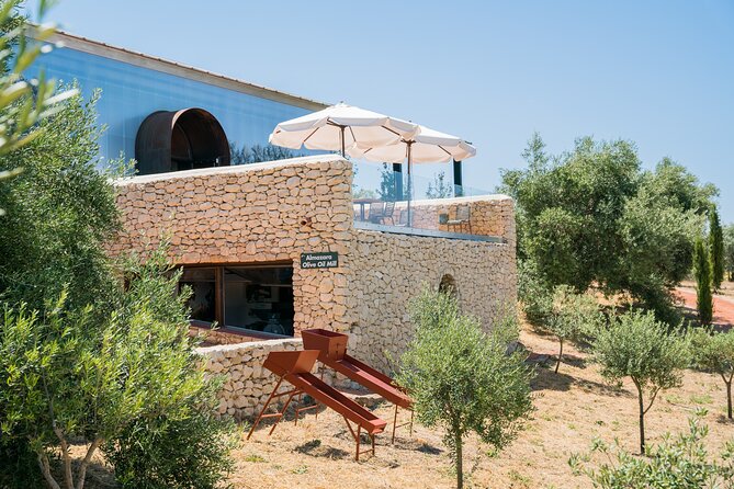 Visit Oil Mill Museum and Olive Oil Tasting in Ronda - LA Organic in Ronda: art and olive groves as a single experience