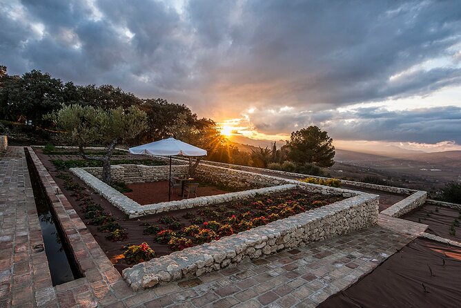 Visit Oil Mill Museum and Olive Oil Tasting in Ronda - Between olive groves and organic vineyards: Philippe Starck surprises