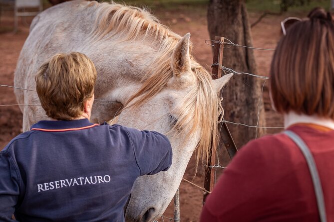 Visita Entre Toros y Caballos - Reservatauro Ronda is special because it is a working ranch, not a show