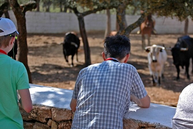 Visita Entre Toros y Caballos - Mountain-view terrace time: a calmer finish to a ranch visit