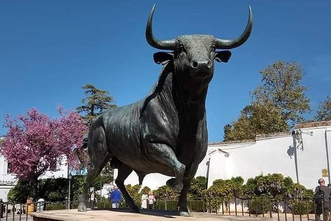 Visita Guiada Ronda - Ronda in Two Hours: What This Guided Walk Really Covers