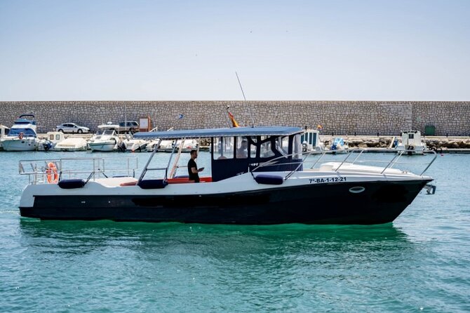 Walk and dolphin watching in Fuengirola + 1 drink - Dolphin Watching From Fuengirola Port, Up Close Without the Big-Tour Hassle