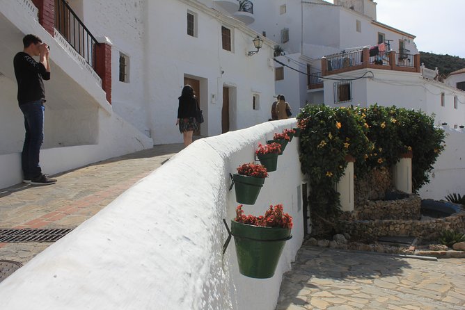 White Villages Tour in the Nerja area: Small-Group Tour and Lunch - Why These White Villages Are Worth a Day Trip From Nerja