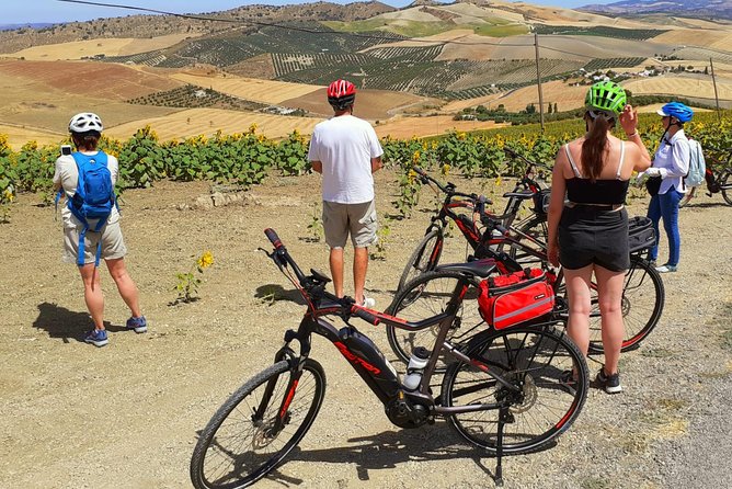 Wine, Tapas & Lake Zahara by e-bike incl Ronda pickup (full day) - What the $165.61 price really buys you
